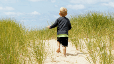 【2025年最新】不登校向けオンライン家庭教師おすすめ8選【心理師が厳選】